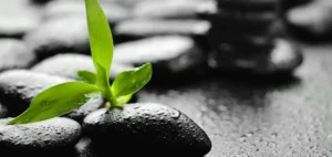 Outgrowing the Old You blog banner